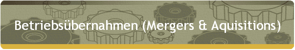Betriebsbernahmen (Mergers & Aquisitions)